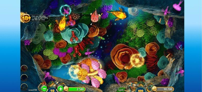 Lưu ý khi chơi game bắn cá đổi thưởng Online