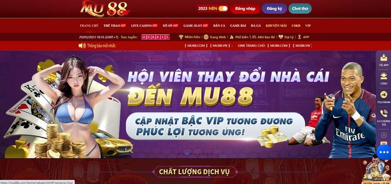 hình ảnh chuyên nghiệp